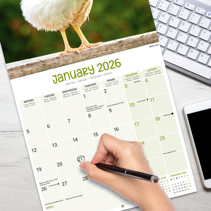 Avonside Kippen Kalender 2026