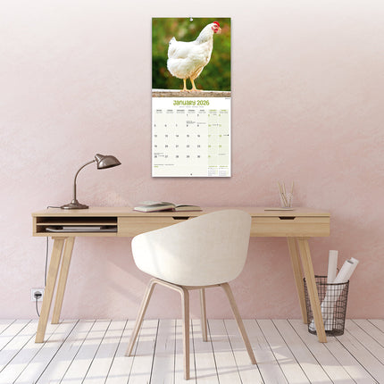 Avonside Kippen Kalender 2026