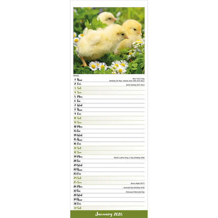 Avonside Kippen Kalender 2026 Slimline
