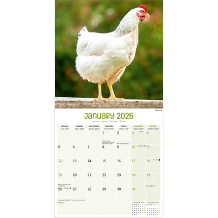 Avonside Kippen Kalender 2027