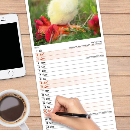 Avonside Kippen Kalender 2027 Slimline