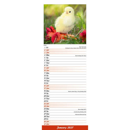 Avonside Kippen Kalender 2027 Slimline