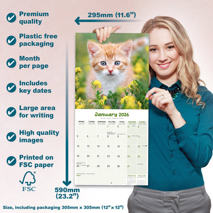 Avonside Kittens Kalender 2026