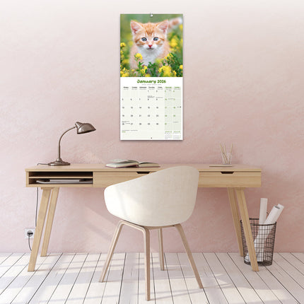 Avonside Kittens Kalender 2026
