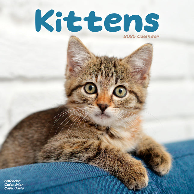 Avonside Kittens Kalender 2027