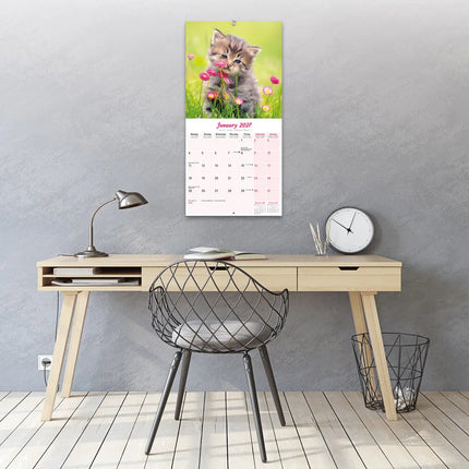 Avonside Kittens Kalender 2027