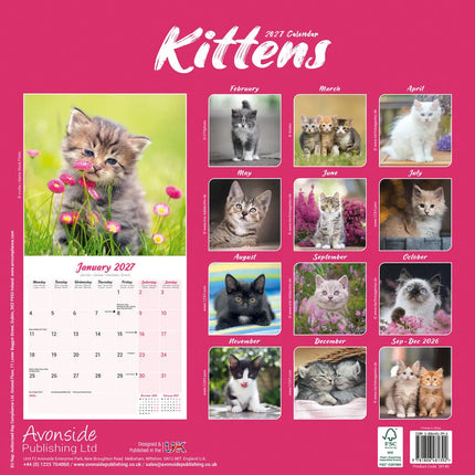 Avonside Kittens Kalender 2027