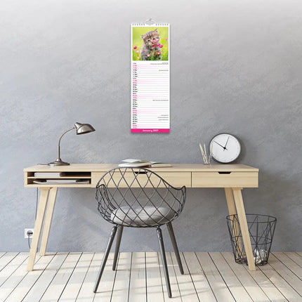 Avonside Kittens Kalender 2027 Slimline