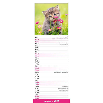 Avonside Kittens Kalender 2027 Slimline