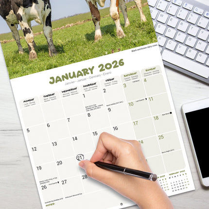 Avonside Koeien Kalender 2026
