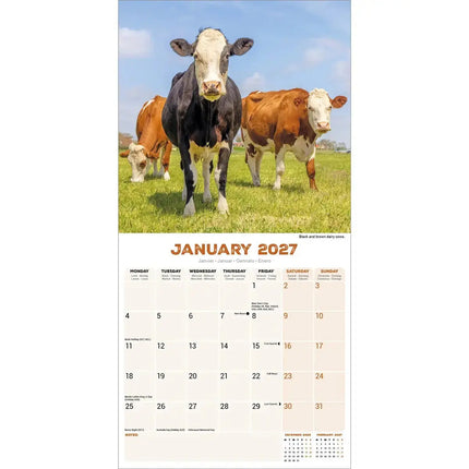 Avonside Koeien Kalender 2027