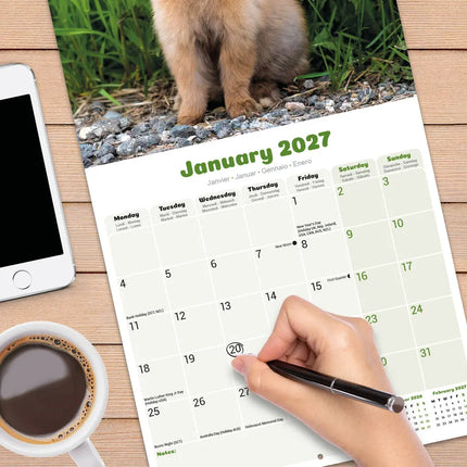 Avonside Konijnen Kalender 2027