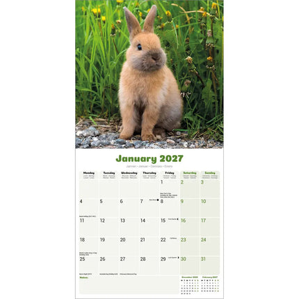 Avonside Konijnen Kalender 2027