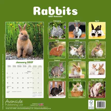 Avonside Konijnen Kalender 2027