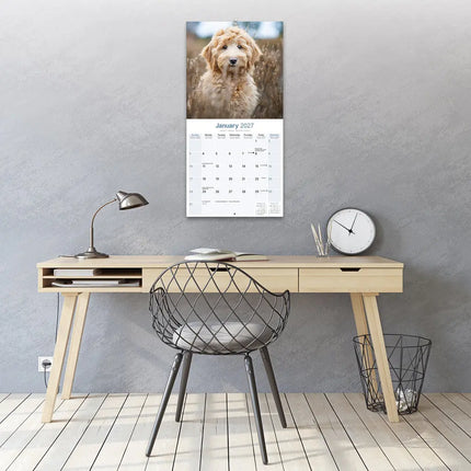 Avonside Labradoodle Kalender 2027