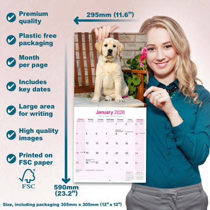 Avonside Labrador Retriever Blond Kalender 2026