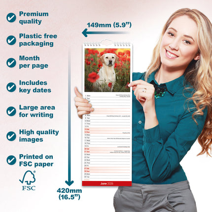 Avonside Labrador Retriever Blond Kalender 2026 Slimline