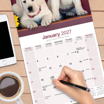 Avonside Labrador Retriever Blond Kalender 2027