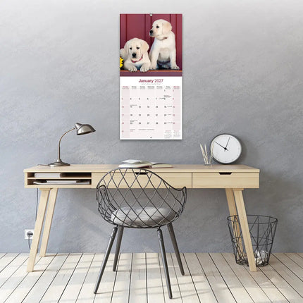 Avonside Labrador Retriever Blond Kalender 2027