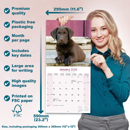 Avonside Labrador Retriever Bruin Kalender 2026