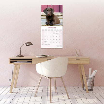 Avonside Labrador Retriever Bruin Kalender 2026