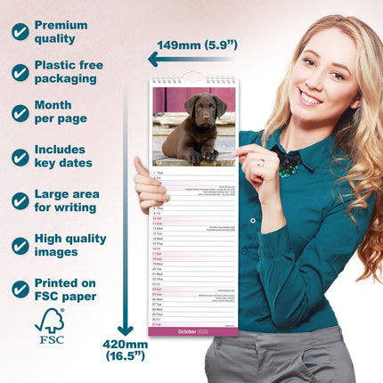 Avonside Labrador Retriever Bruin Kalender 2026 Slimline