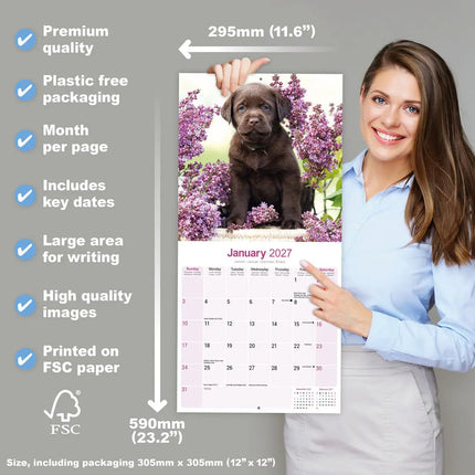 Avonside Labrador Retriever Bruin Kalender 2027