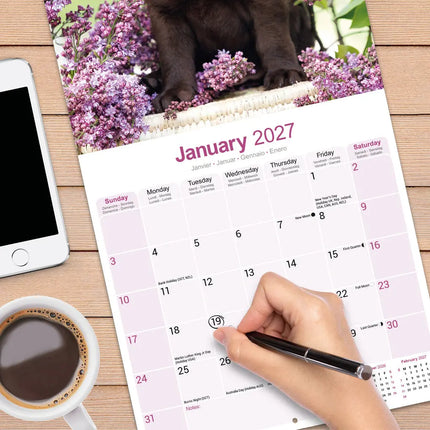 Avonside Labrador Retriever Bruin Kalender 2027