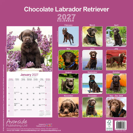 Avonside Labrador Retriever Bruin Kalender 2027