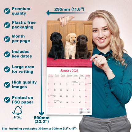 Avonside Labrador Retriever Mixed Kalender 2026