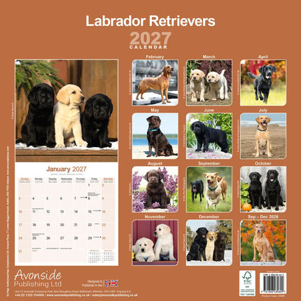 Avonside Labrador Retriever Mixed Kalender 2027