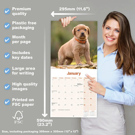 Avonside Labrador Retriever Rood Kalender 2027