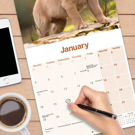 Avonside Labrador Retriever Rood Kalender 2027