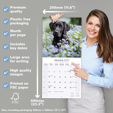 Avonside Labrador Retriever Zwart Kalender 2027