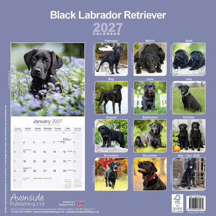 Avonside Labrador Retriever Zwart Kalender 2027