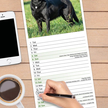 Avonside Labrador Retriever Zwart Kalender 2027 Slimline