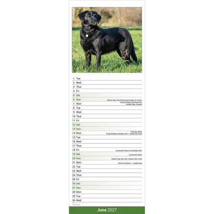 Avonside Labrador Retriever Zwart Kalender 2027 Slimline
