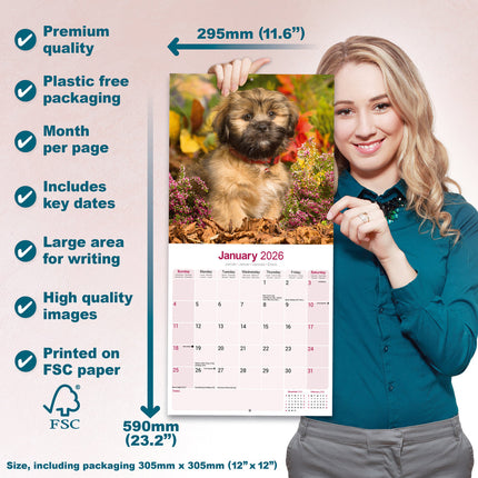 Avonside Lhasa Apso Kalender 2026