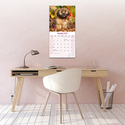 Avonside Lhasa Apso Kalender 2026