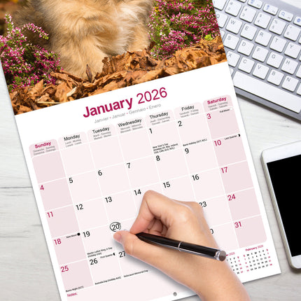 Avonside Lhasa Apso Kalender 2026