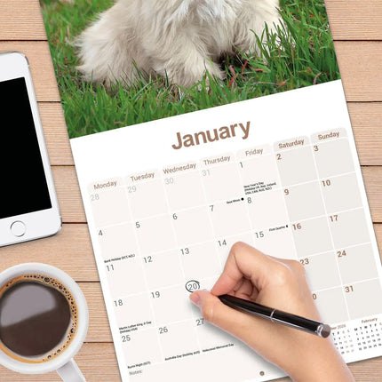 Avonside Lhasa Apso Kalender 2027