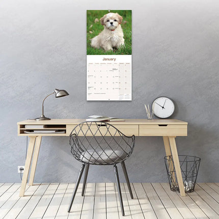 Avonside Lhasa Apso Kalender 2027