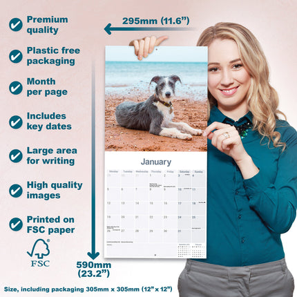 Avonside Lurcher Kalender 2026