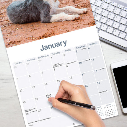 Avonside Lurcher Kalender 2026