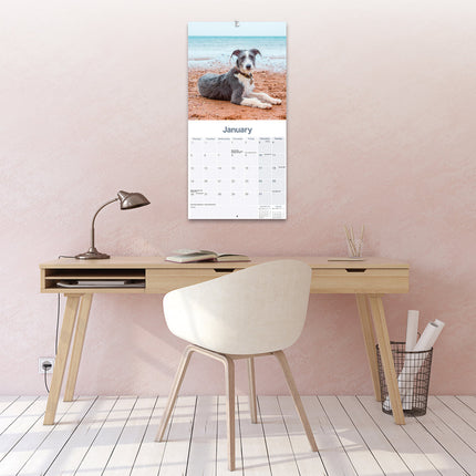 Avonside Lurcher Kalender 2026