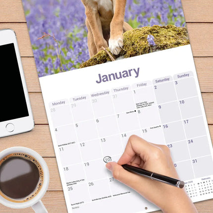 Avonside Lurcher Kalender 2027