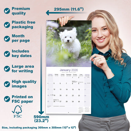 Avonside Maltezer Kalender 2026
