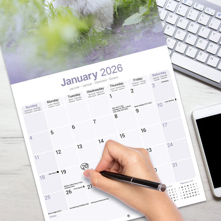 Avonside Maltezer Kalender 2026