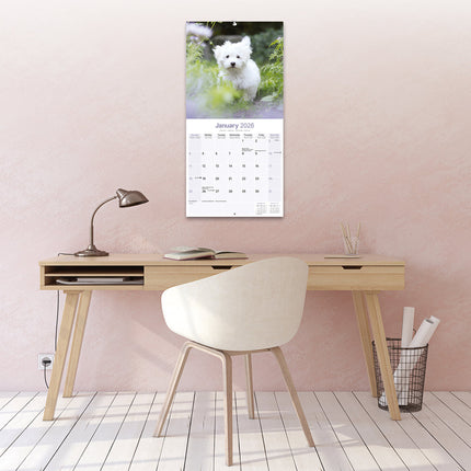 Avonside Maltezer Kalender 2026