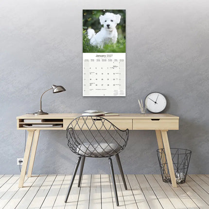 Avonside Maltezer Kalender 2027